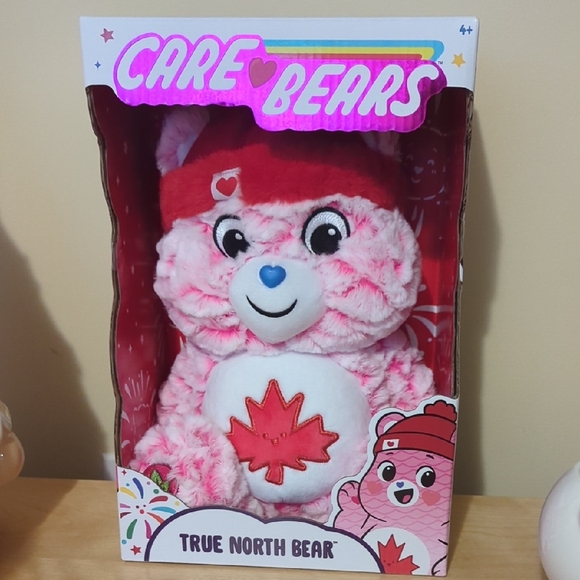Care Bears Other - Care Bears Brand New True North Bear